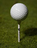 Golf Tees